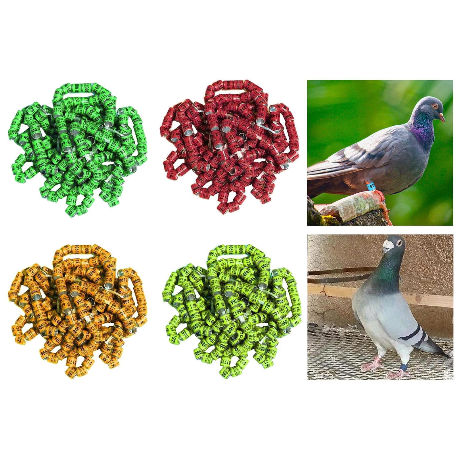 200pcs Reusable 2023 Aluminum Pigeon Leg Rings Number Bird Bands