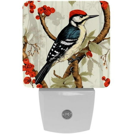 

Woodpecker LED Square Night Lights - Energy Efficient & Elegant Decorative Lighting for Your Home - Set of 2 Understated Square LED Nightlights
