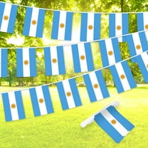 G128 Argentina Argentinian Bunting Banner | Flag 8.2 x 5.5 Inch, Full String 33 Feet | Printed 150D Polyester, Decorations For Bar, School, Festival Events Celebration