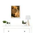 thumbnail image 2 of Big African Lion Sitting Sun Bathing Nature A4 Artwork Framed Wall Art Print, 2 of 4