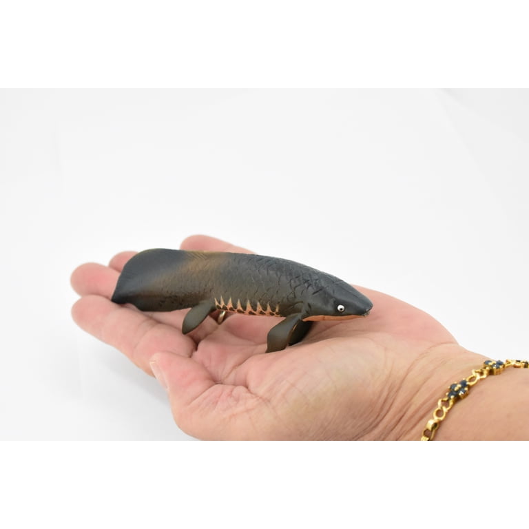 Fish, Arapaima gigas, Piraucu, Amazon, Rubber Fish, Hand Painted