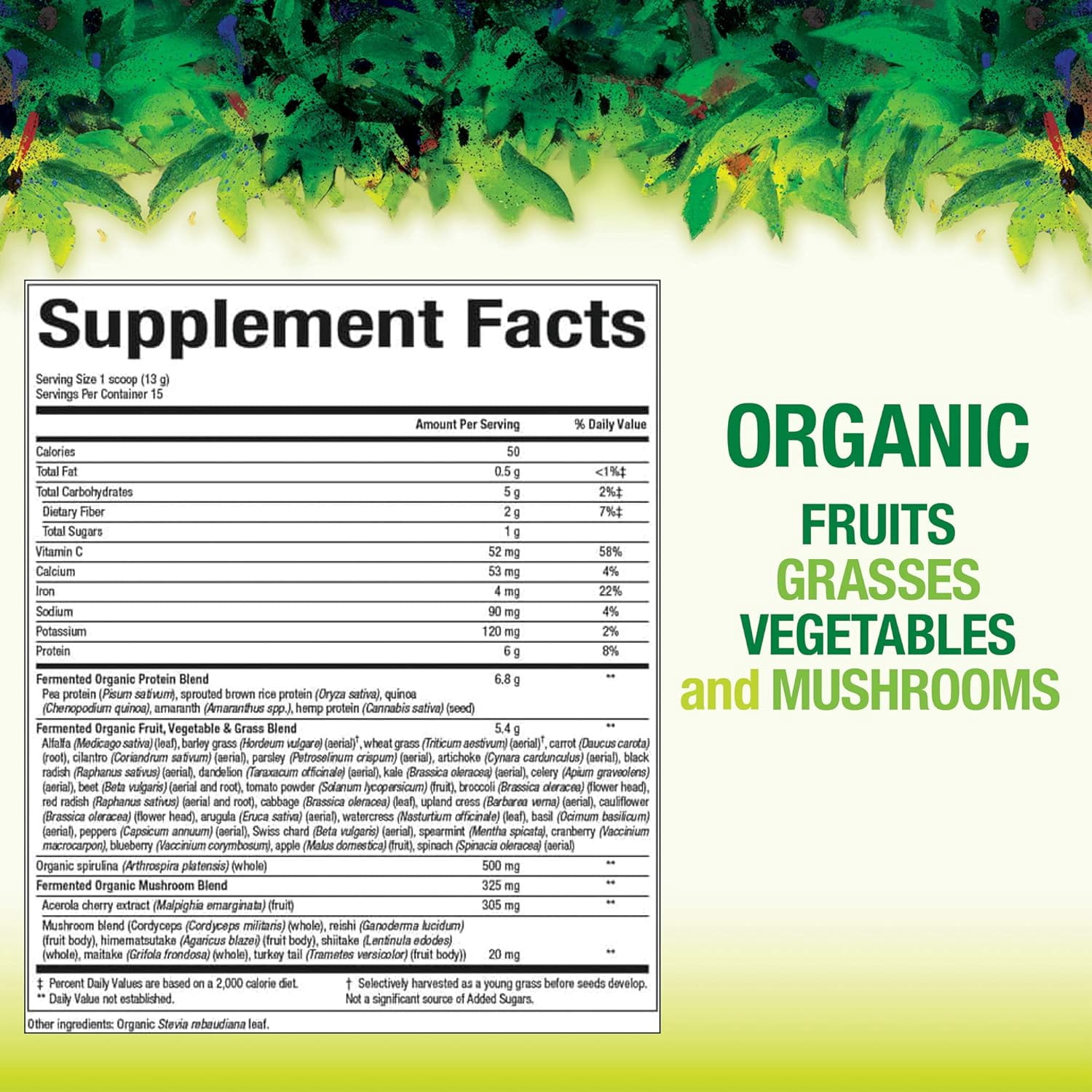 Natural Factors Whole Earth & Sea, Organic Fermented Greens, Vegan Whole Food Supplement, Unflavored, 6.9 Oz