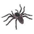 thumbnail image 4 of Juguete de figura animal Sunnimix modelo de animal Juguete educativ decoración del hogar, 4 of 5