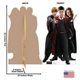 thumbnail image 5 of Advanced Graphics 3795 65 x 39 in. Harry, Hermione & Ron in Robes Cardboard Cutout, Warner Brothers, 5 of 5