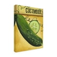 thumbnail image 3 of Canvas Wall Art - Debbi Wetzel 'Seed Packets 12 - Cucumber' Wall Art for Living Room, Bedroom, or Office Décor by Trademark Fine Art - 24 x 32 Inches, 3 of 4