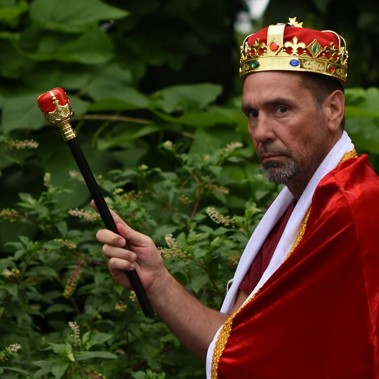 King Scepter Royal Staff Crown Wand Cosplay Halloween Party Costume Accessory King Scepter Royal Staff Crown Wand Cosplay Halloween Party Costume Accessory