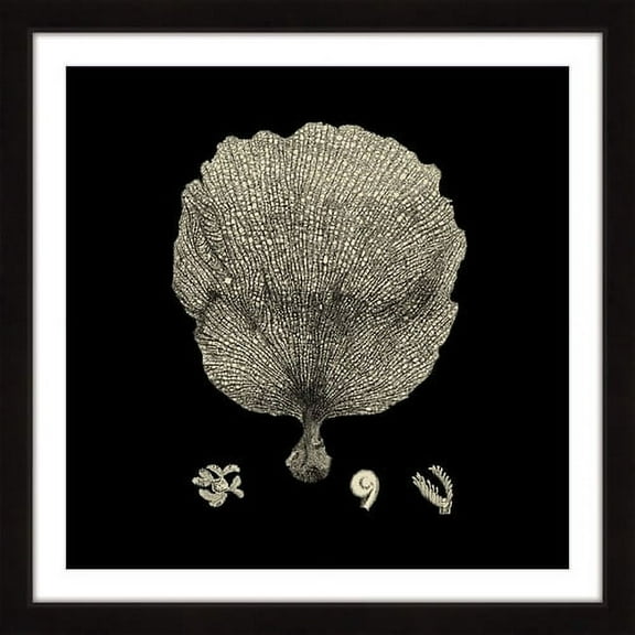 Marmont Hill "Black & Tan Coral II" Framed Painting Print