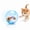Blue Hamster A, variant on Rechargeable Smart Rolling Ball Cat Toy, Automatic Interactive Rolling Toy Ball for Cats, Hamster Ball Cat Toy for Indoor Play and Exercise