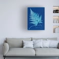 thumbnail image 3 of Unknown 'Cyanotype Ferns II' Canvas Art, 3 of 3