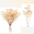 thumbnail image 4 of 1pcs Gypsophila dried flower bouquet, 4 of 6