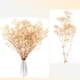 thumbnail image 4 of 1 ramo de flores secas de Gypsophila., 4 of 6