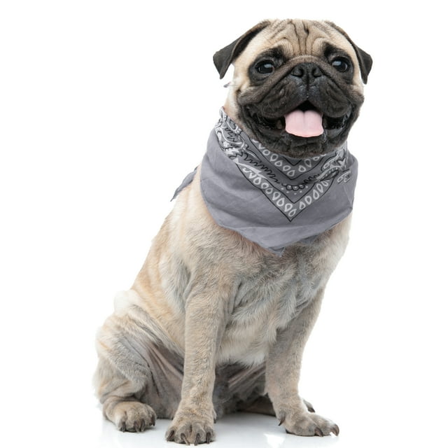 Paisley Polyester Ensemble de 3 Bavoirs Bandana Triangle pour Chiens et Chats - Taille Régulière