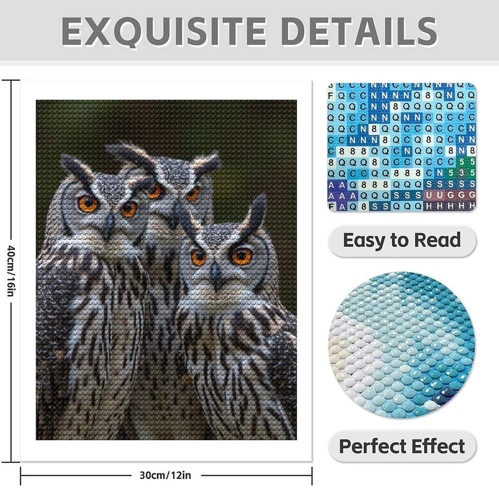 Diamond Art Kits for Adults - 5d Elegant Owls With Striking Eyes Diamond Painting for Adults, Diamond Art for Adults Beginners, Diamond Painting Kits for Adults for Home Wall Decor