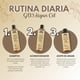 thumbnail image 3 of GD3 Kit Argan Oil Shampoo 300ml/Acondicionador 300ml/Aceite 100ml, 3 of 6
