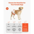 thumbnail image 2 of VEVOR Disposable Dog Diapers Super Absorbent Female Dog Diapers M Size 96 Count, 2 of 9