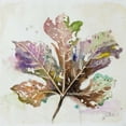 thumbnail image 3 of Pinto, Patricia 12x12 Black Modern Framed Museum Art Print Titled - Global Leaves IV, 3 of 5