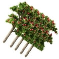 thumbnail image 6 of 5Pc Model Fruit Trees Train Railroad Scenery Plant Red, 6 of 8