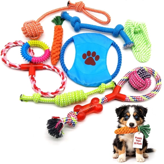 BN-LINK 10 Pack Dog Toys, Dog Chew Toys, Puppy Teething Toys with Tug of War and Rope Toys for Puppies and Small Dogs, Interactive Dog Toys for Boredom Relief