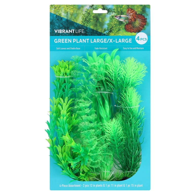 Vibrant Life Large/X-Large Plant Set, Green, 4 Pieces photo 1