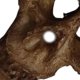 thumbnail image 4 of Toystoory Acuario decoración paisajismo cabeza hueso cueva ornamento acuático Artificial decorativo pecera reptil caja Prop reutilizable Kits de decoración para fiestas, 4 of 6