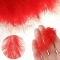 thumbnail image 2 of 300PCS Colored Feathers 4-6in, 6 Colors Ostrich Feathers for DIY Crafts Carnival Costumes Wedding Holiday Party Decorations, 2 of 7