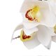 thumbnail image 4 of Orchidées artificielles à 6 tiges, fleurs en soie imprimées en 3D, tiges en fil de fer, décorations florales pour mariages et fêtes, blanches, 4 of 4