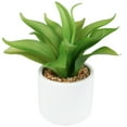 thumbnail image 4 of Northlight Artificial Mini Foxtail Agave Plant in a White Pot - 8", 4 of 7