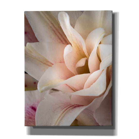 Epic Graffiti 'They Called Her Baby Lily' by Pamela Plummer, Canvas Wall Art, 26"x34"