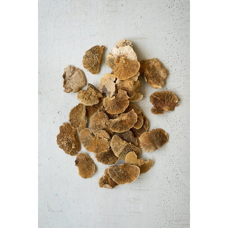 Kalalou Inc Bag Of 48 Dried Sponge Mushrooms