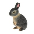 thumbnail image 2 of TISHITA Modèle Animal Réaliste Animaux de Ferme en Plastique Figurines Jouet Cognitif Lapin, 2 of 7