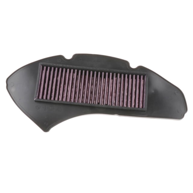 Filtro limpiador de aire para motocicleta para 125155 2015 2016 2017 Cola Aire de protección del motor