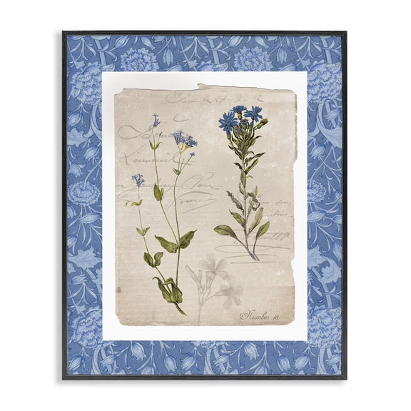 Stupell Industries Blue Vintage Botanicals Black Framed Giclee Art, design by Livi Finn