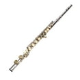 thumbnail image 1 of C Flute, Flute Instrument Kit 16 Keys G Key Offset Design  for Learning, 1 of 7