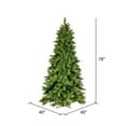 thumbnail image 3 of Vickerman 6.5' x 40" Brighton Pine Artificial Christmas Tree, Unlit, 3 of 5