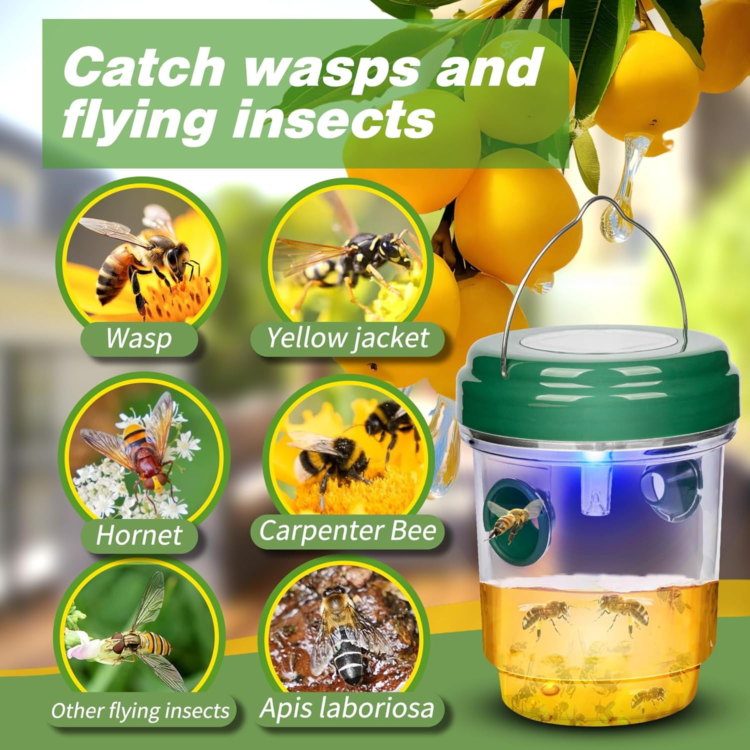 4 Pack Wasp Traps Outdoor Hanging, Solar Bee Trap for Outside with LED Light, Reusable Solar Powered Insect Traps for Garden, Patio, Porch, Backyard, Green