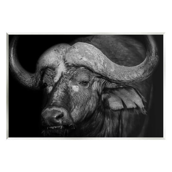Stupell Industries Dark Buffalo Photography Animals & Insects Photography Unframed Art Print Wall Art, 15 x 10