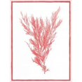 thumbnail image 1 of Sea Things II Poster Print by Sarah E Chilton, 9 x 12 - Small, 1 of 1