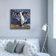 thumbnail image 5 of Epic Graffiti 'Blue Footed Boobies' by Harro Maass, Canvas Wall Art, 37"x37", 5 of 8