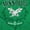 Irish Green, variant on Cute Missouri Show Me State Eagle Women's Graphic T Shirt Tees Brisco Brands S