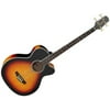 ESP/LTD GL BURNT TIGER George Lynch Signature Burnt Tiger Electric Guitar with ESP Case and ChromaCast Accessories
