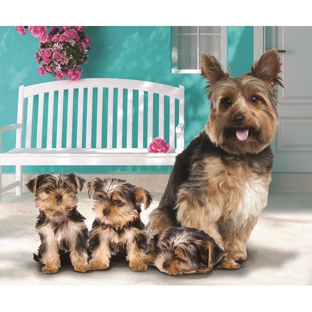 Yorkie and Puppies Fleece Throw Blanket 50" x 60"