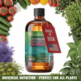 thumbnail image 4 of ⭐ GARDENERA Premium Organic Seaweed & Kelp Superfood for CITRUS TREES Plants - 32 oz - Liquid Kelp Fertilizer Concentrate (Makes 180 Gallons), 4 of 6