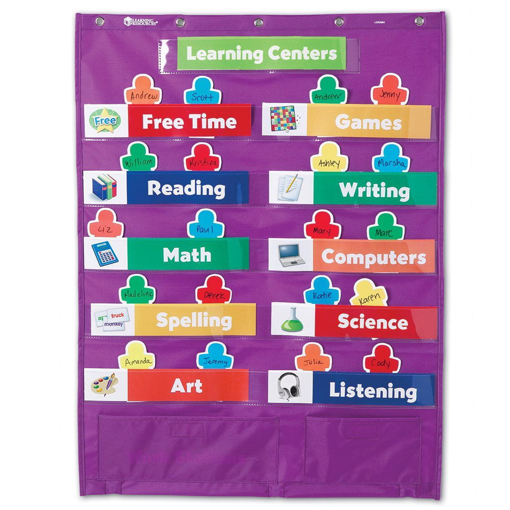 Spotlight on Science® Words Pocket Chart by Learning Resource 