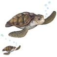 thumbnail image 5 of Sea Turtle Wall Decal Ocean Undersea Animal Kids Room Decor Stickers Includes (2) Turtles 6”-13.5”, 5 of 5