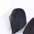 thumbnail image 3 of Wosthever Plumas artesanales de 10-15CM, ligeras, duraderas, portátiles, pequeñas y elegantes piezas de plumas, parte y Decoración, 3 of 6