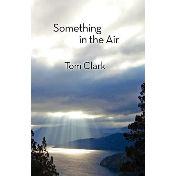 Something in the Air (Paperback)