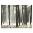 thumbnail image 2 of Forêt de Pins Maritime avec Rayons - Art sur Toile Forêt Surdimensionnée, 2 of 3