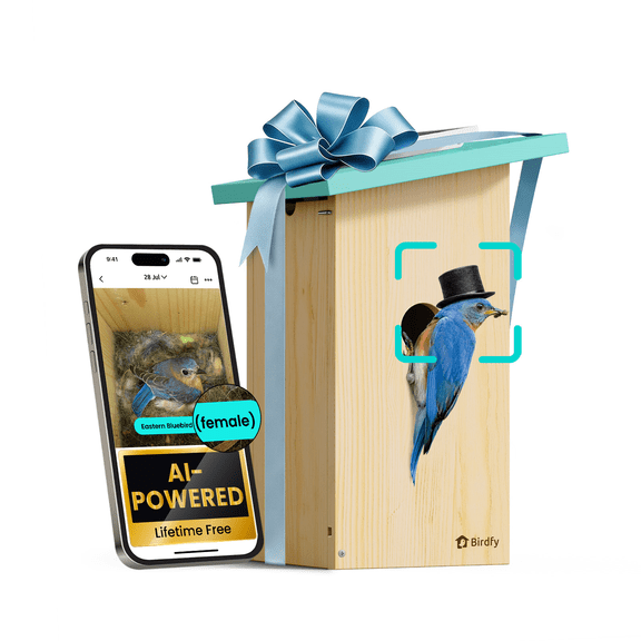 Birdfy Smart Bird Houses With 1080P HD Bird Feeder Camera, Perfect Viewing Bird Nesting and Hatching, Solar Powered, Cyan