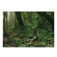 thumbnail image 1 of Landscape Cutting Board, Rainforest Trees and Fresh Grass in Nepal Jungle Wildlife Nature Tropical Photo, Decorative Tempered Glass Cutting and Serving Board, Small Size, Green Brown, by Ambesonne, 1 of 1