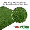 thumbnail image 4 of Premium Indoor and Outdoor Dog Potty Training Patch - Artificial Grass - Wee-Wee Patch, 4 of 4